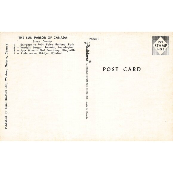 Postcard Greetings from The Sun Parlor of Canada Vintage Chrome Posted 1939-1970 - Picture 2 of 2